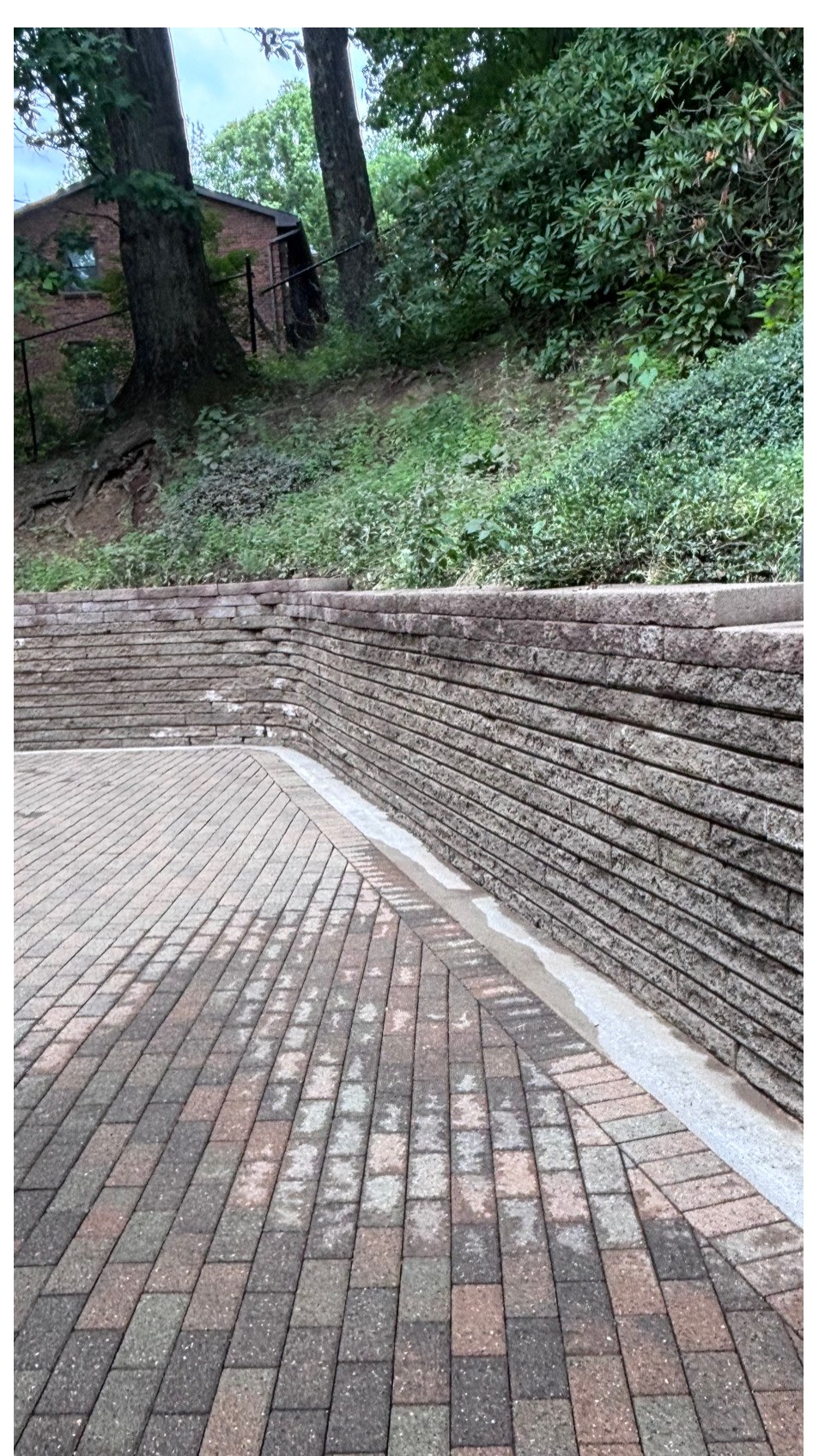Moss-covered brick path after