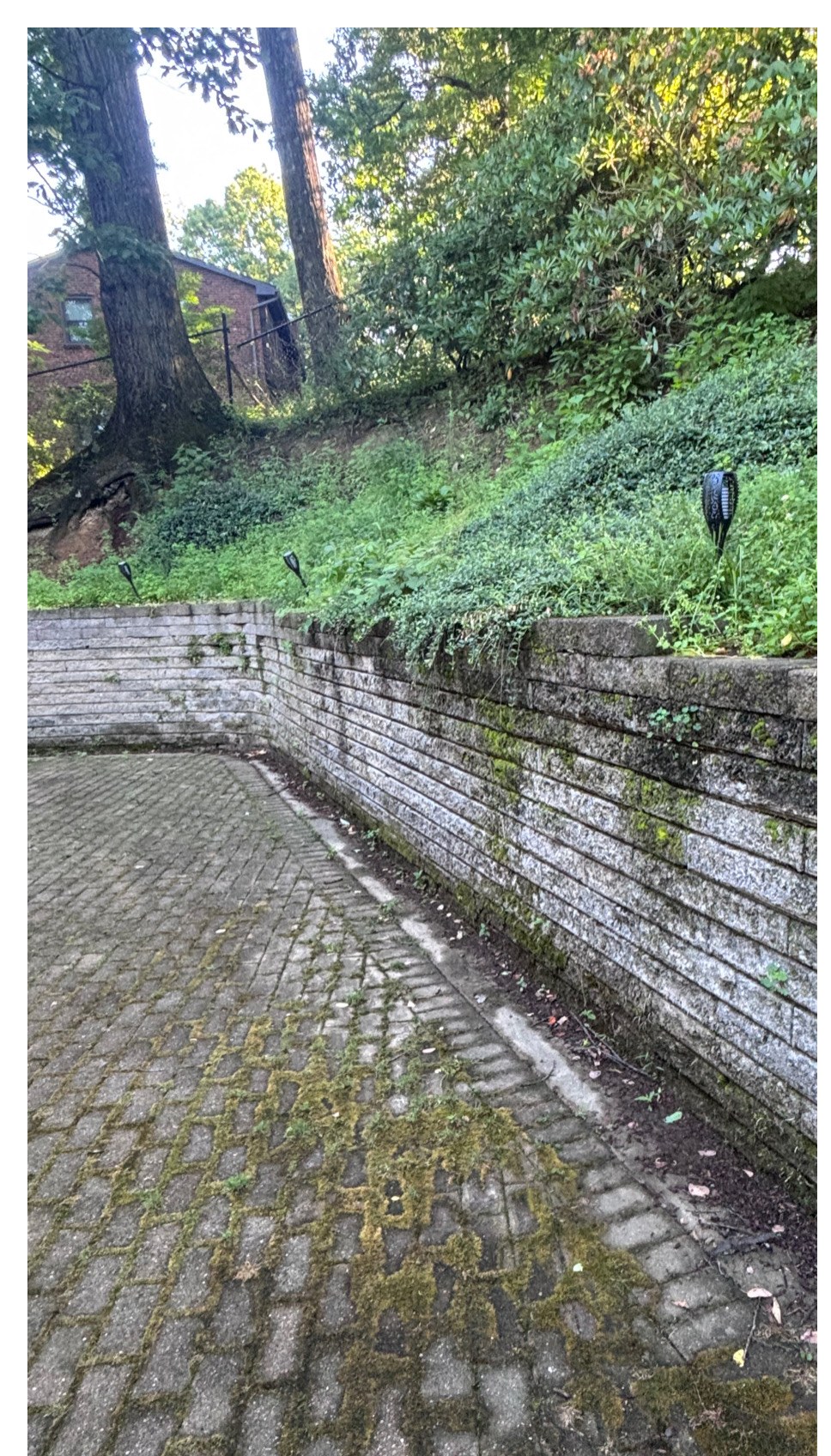 Moss-covered brick path before