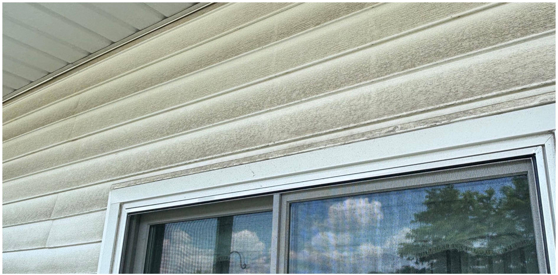 Vinyl siding soft wash before