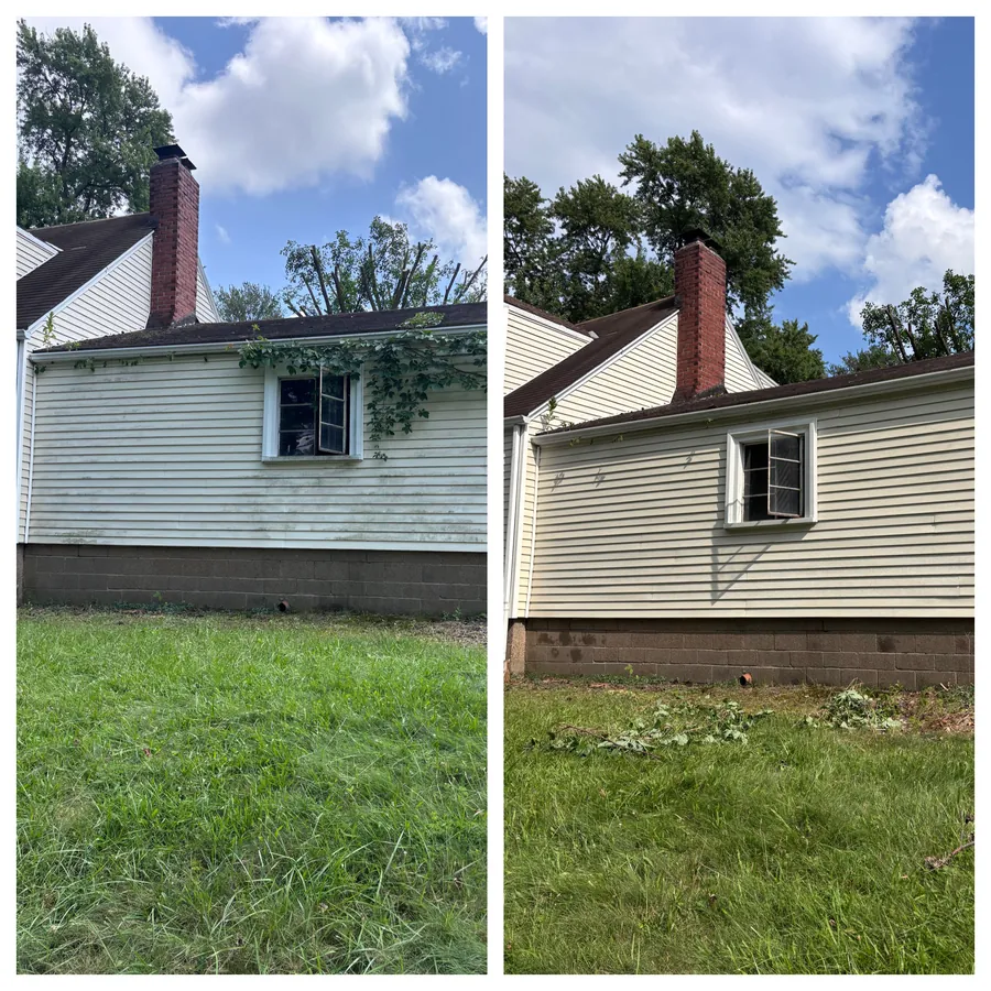 Ranch siding and brick chimney after soft wash