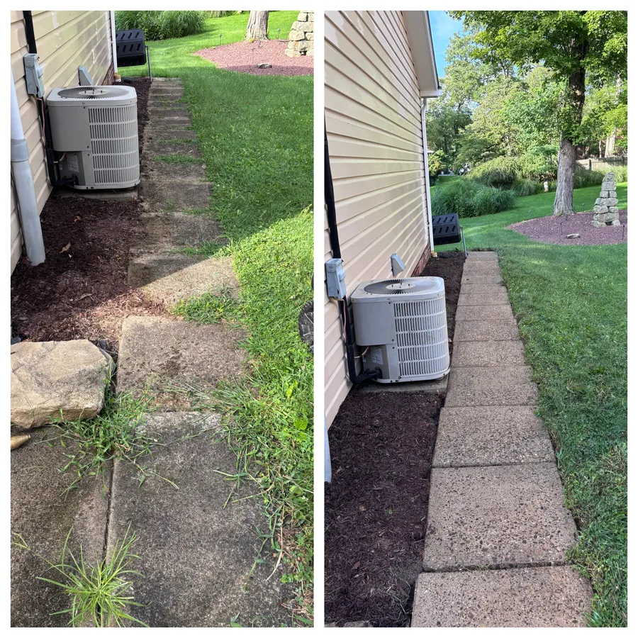 Walkway beside AC unit cleared and cleaned